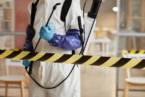 Professional Hoarding Cleanup technician working in Medford, NY